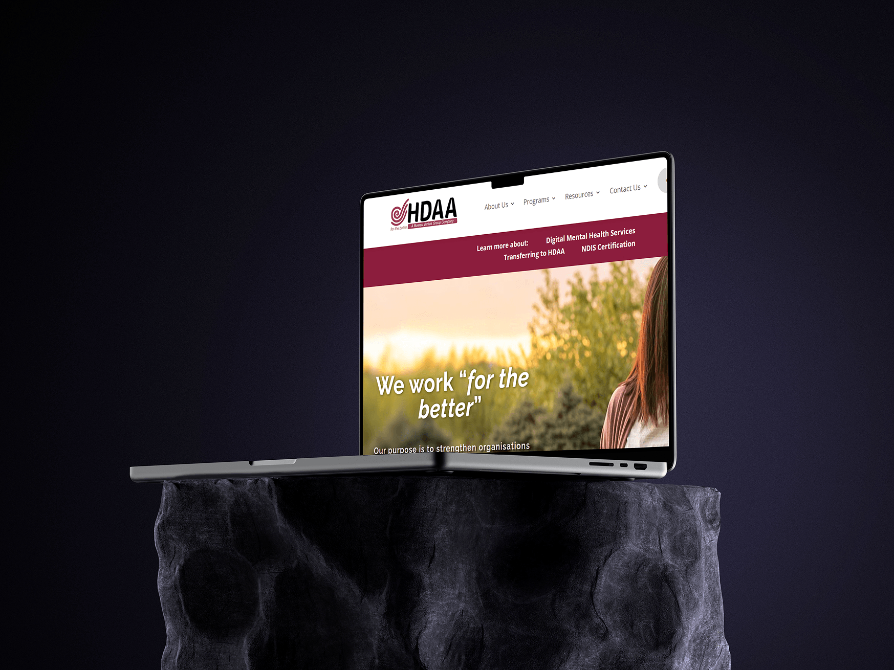 Main visual highlight