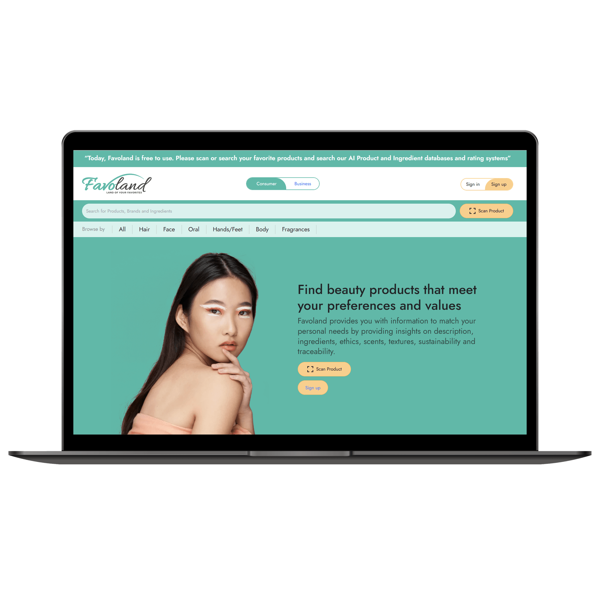 Main visual highlight